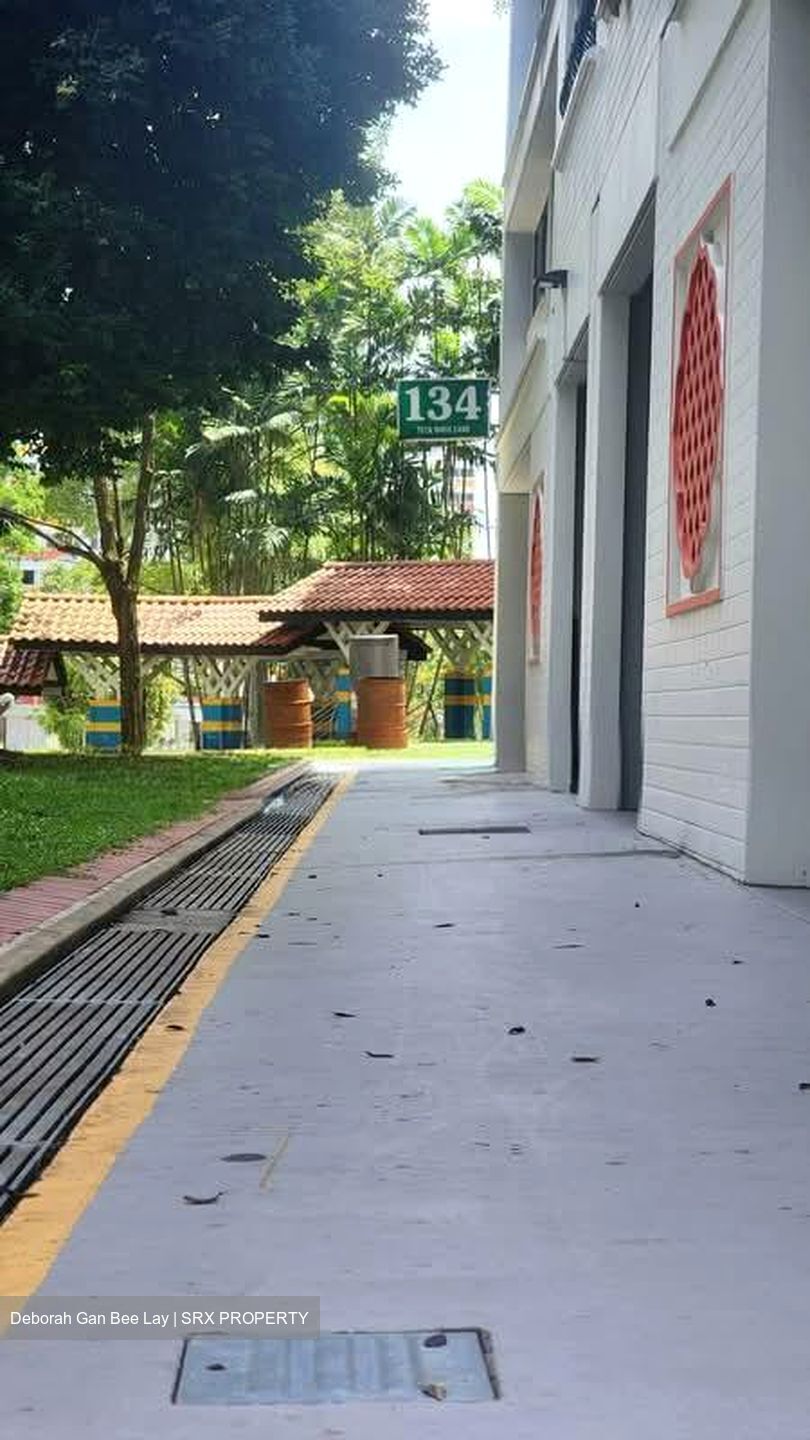 Blk 134 Teck Whye Lane (Choa Chu Kang), HDB Executive #559563661